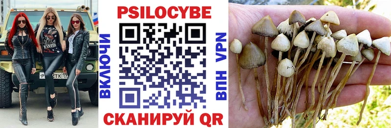 мориарти какой сайт купить наркотик Игарка Псилоцибиновые грибы GOLDEN TEACHER